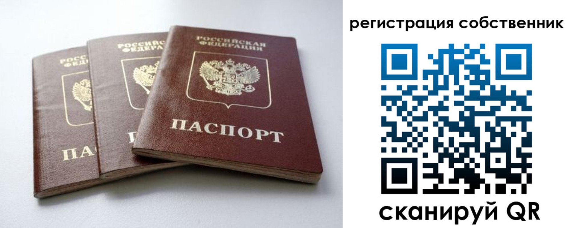 прописка для школы в Липецке